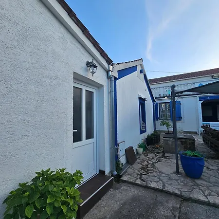 The Lazy Monkey & Vandrerhjem *