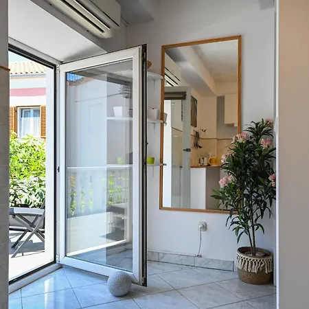 The Lazy Monkey & * Zadar