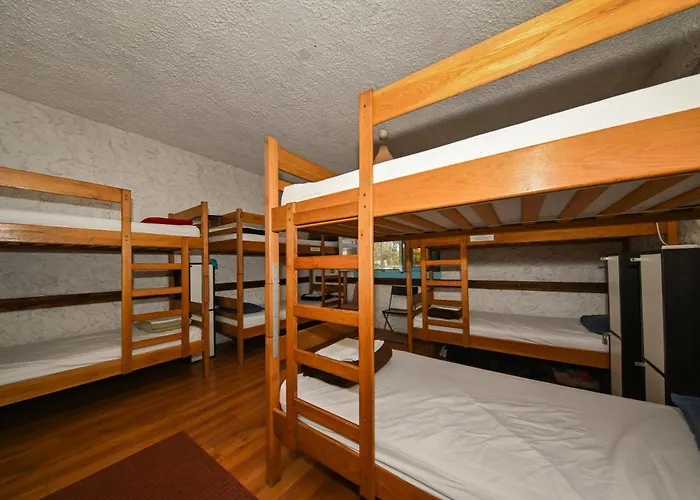 The Lazy Monkey & Hostel