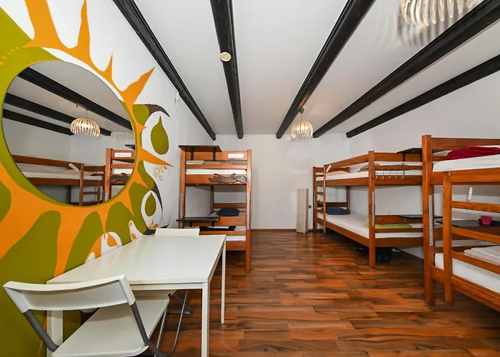 Hostel The Lazy Monkey &