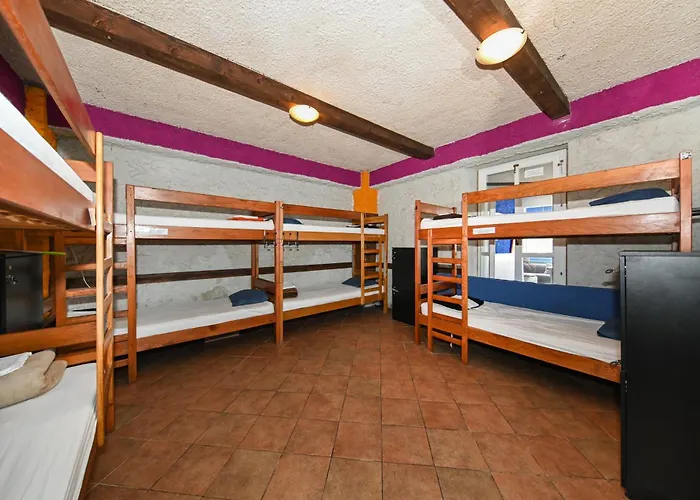 The Lazy Monkey & * Zadar