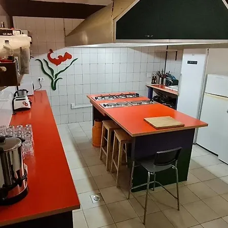 The Lazy Monkey & بيت شباب