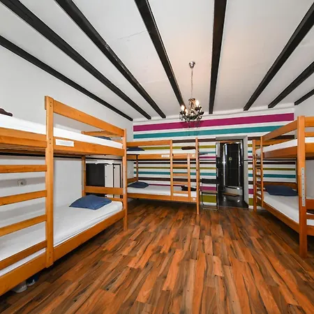 The Lazy Monkey & بيت شباب *