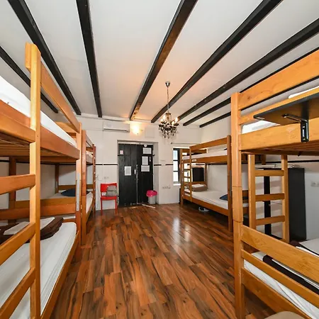 The Lazy Monkey & Zadar