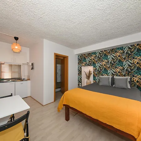 The Lazy Monkey & بيت شباب *