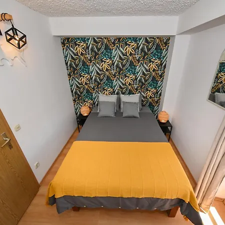 The Lazy Monkey & بيت شباب *