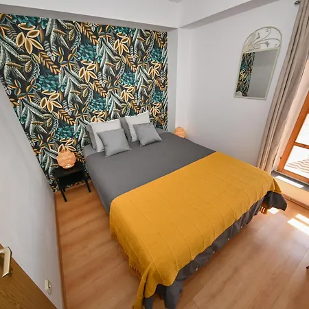 بيت شباب The Lazy Monkey & *