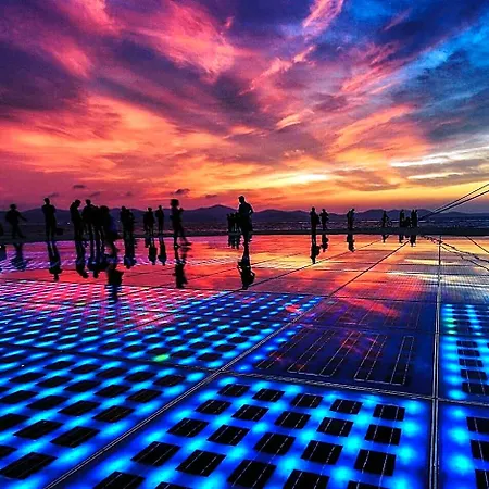 The Lazy Monkey & Zadar