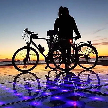 The Lazy Monkey & Zadar