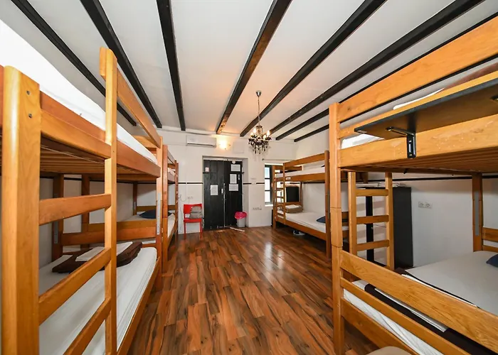 The Lazy Monkey & Zára