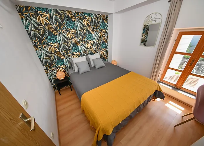 Auberge de jeunesse The Lazy Monkey & *