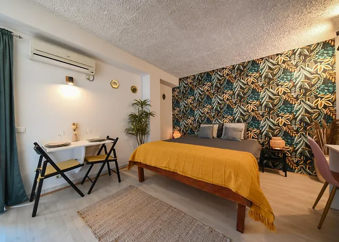 The Lazy Monkey & Zára