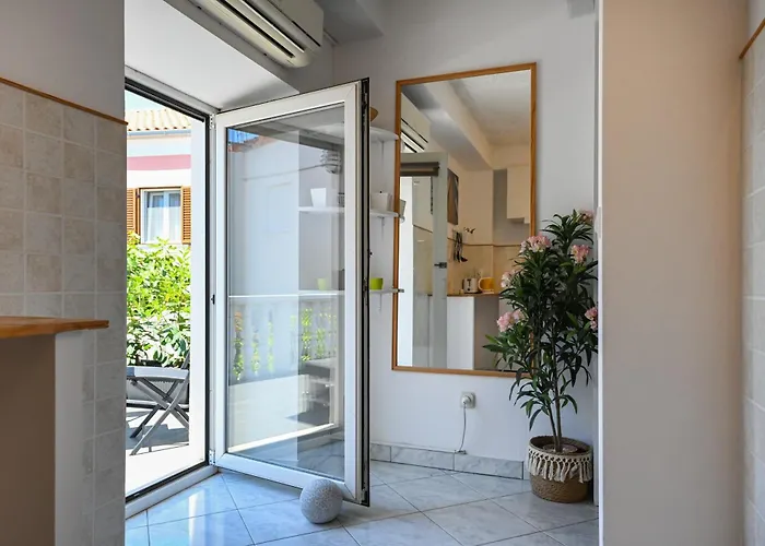 The Lazy Monkey & * Zára