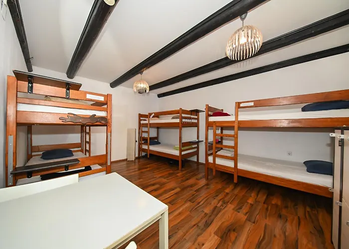 Hostel The Lazy Monkey &